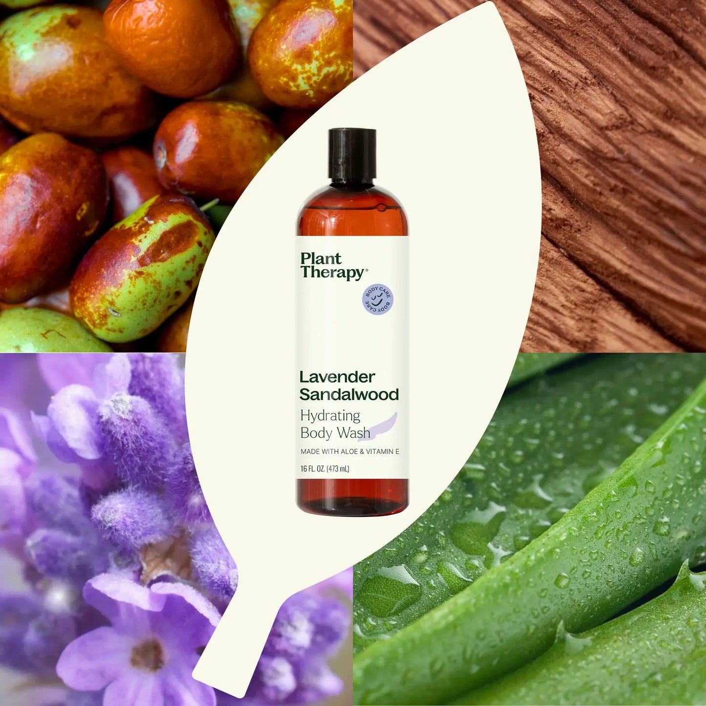 Plant Therapy Lavender Sandalwood Body Wash16 oz