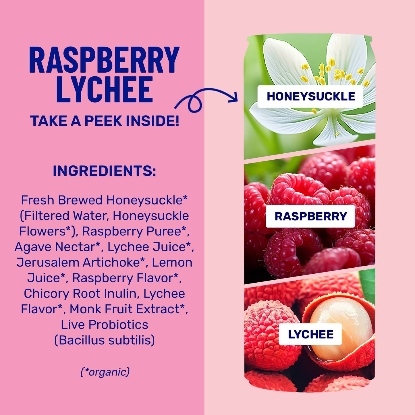 Raspberry Lychee Sparkling Prebiotic + Probiotic Drink