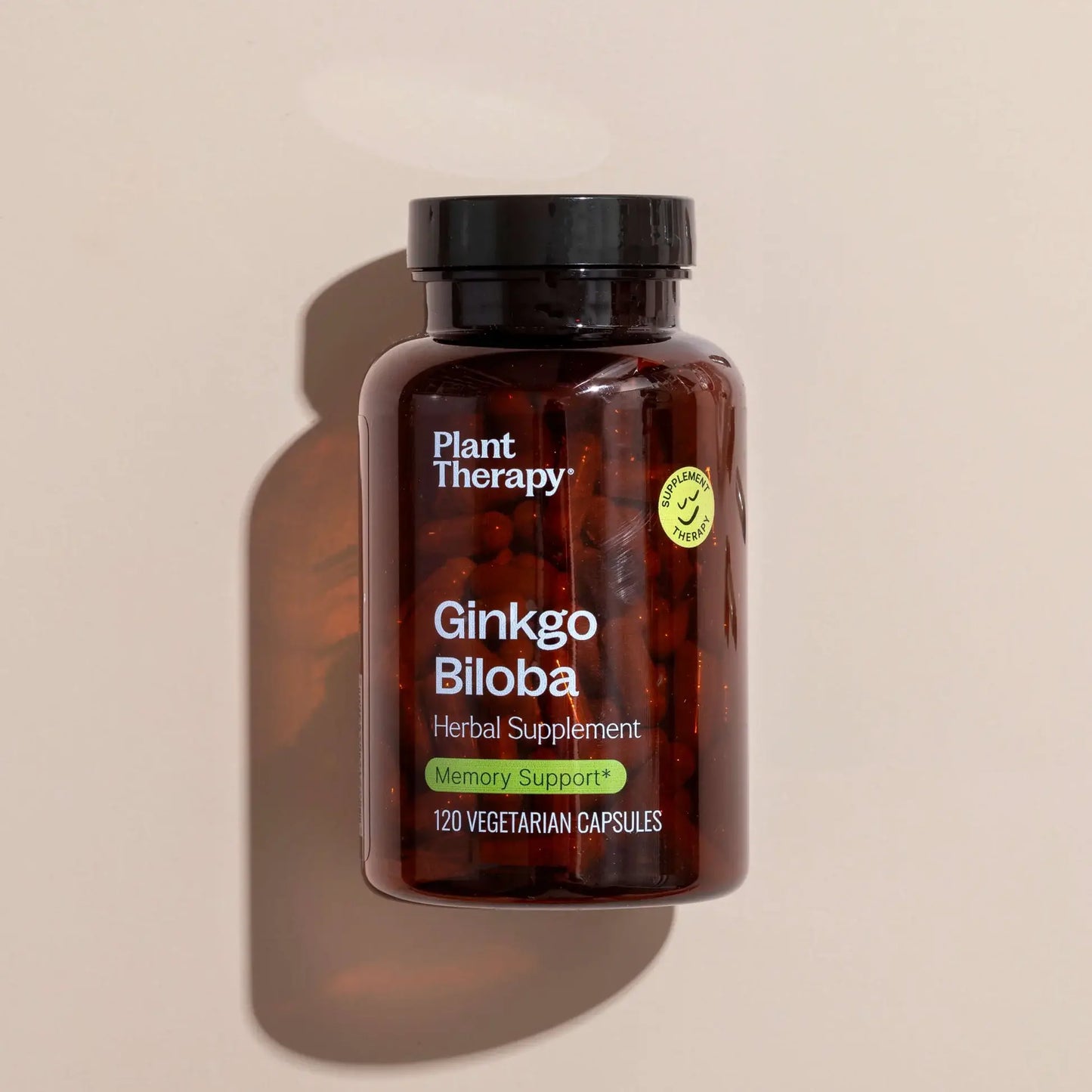 Ginkgo Biloba Herbal Supplement Capsule-120 Capsules