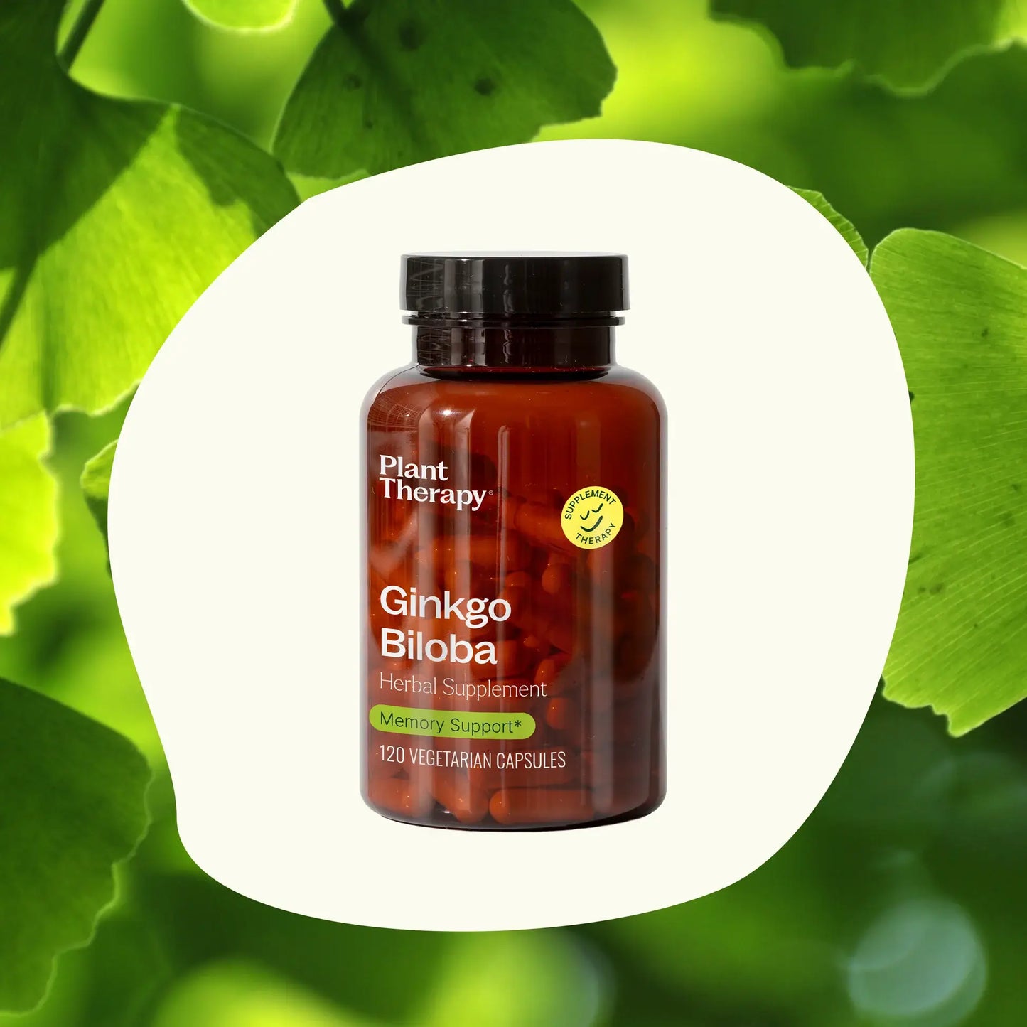 Ginkgo Biloba Herbal Supplement Capsule-120 Capsules