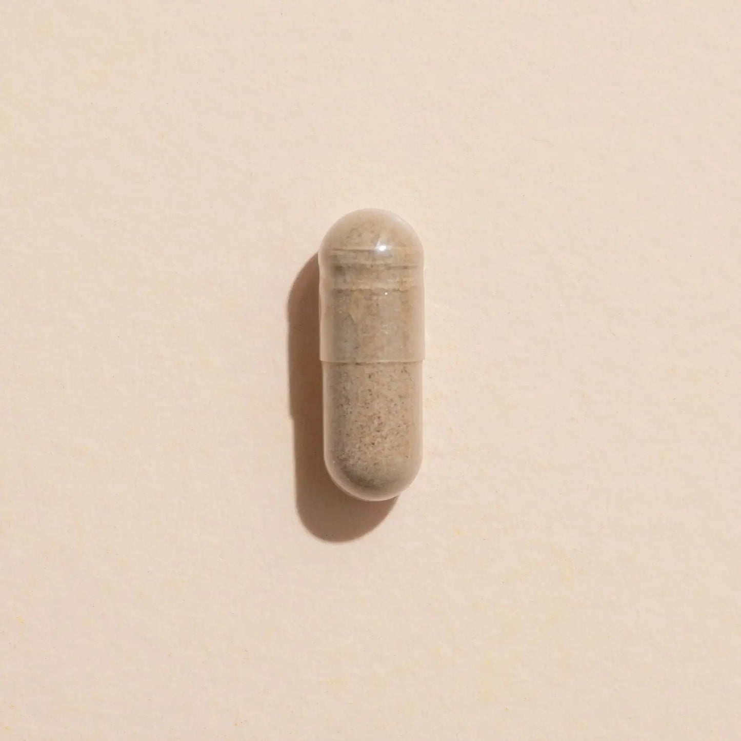 Ginkgo Biloba Herbal Supplement Capsule-120 Capsules