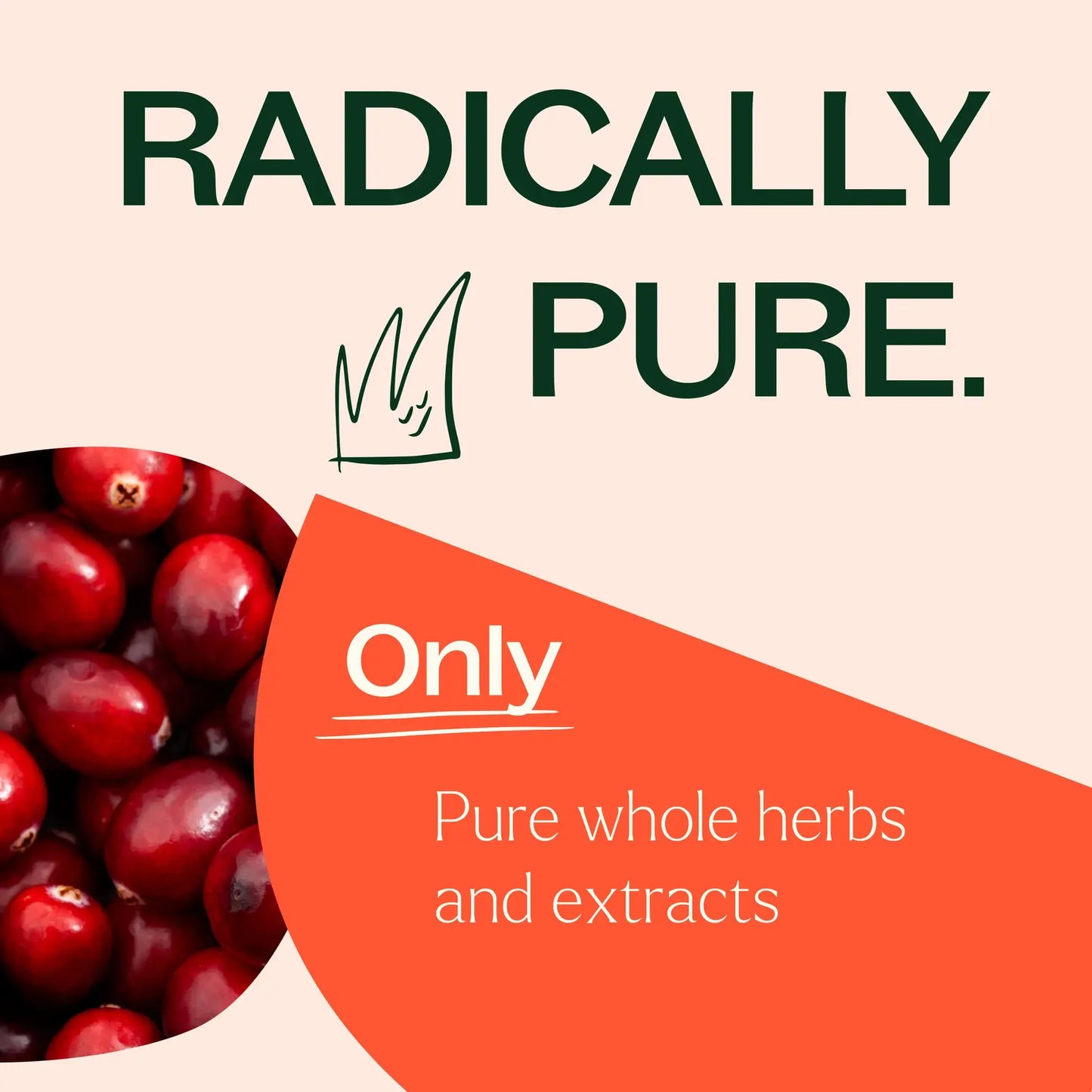 Cranberry Extract with Vitamin C Herbal 120 Capsules