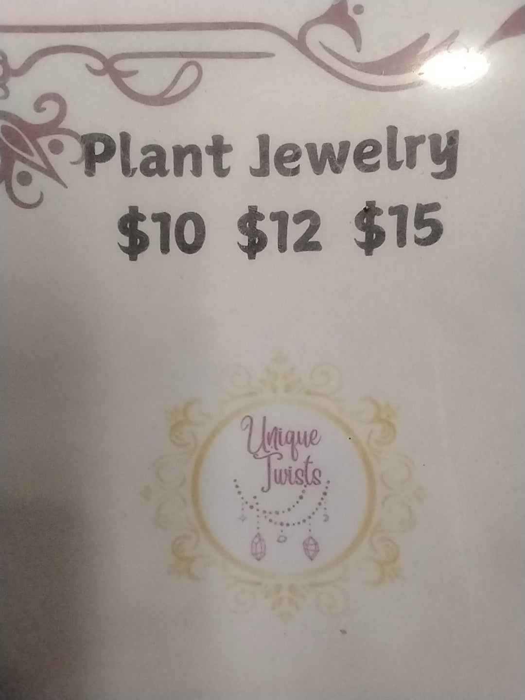Unique Twists Plant Jewelry