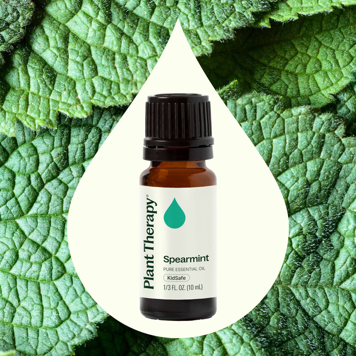 Spearmint Essential Oil 10 mL