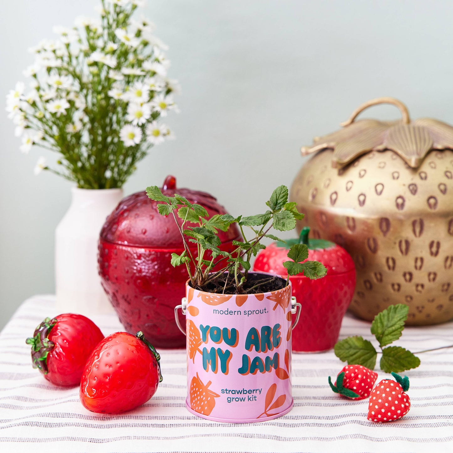Complimentary Color Grow Kits: Stuck on You