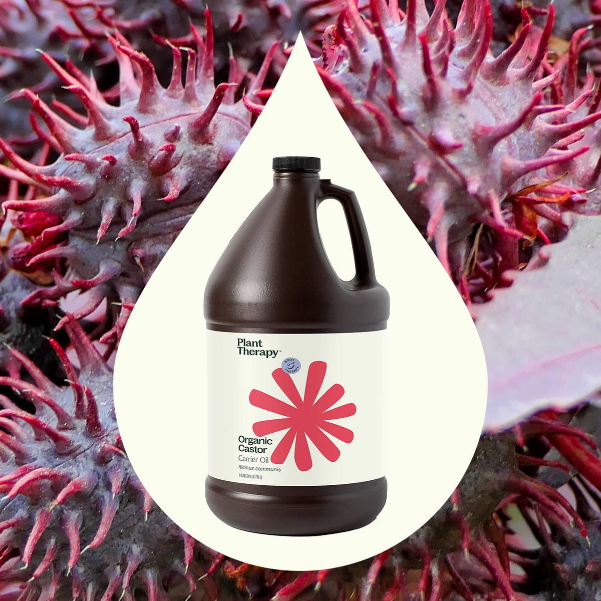 Bulk Organic Castor Carrier Oil Gallon