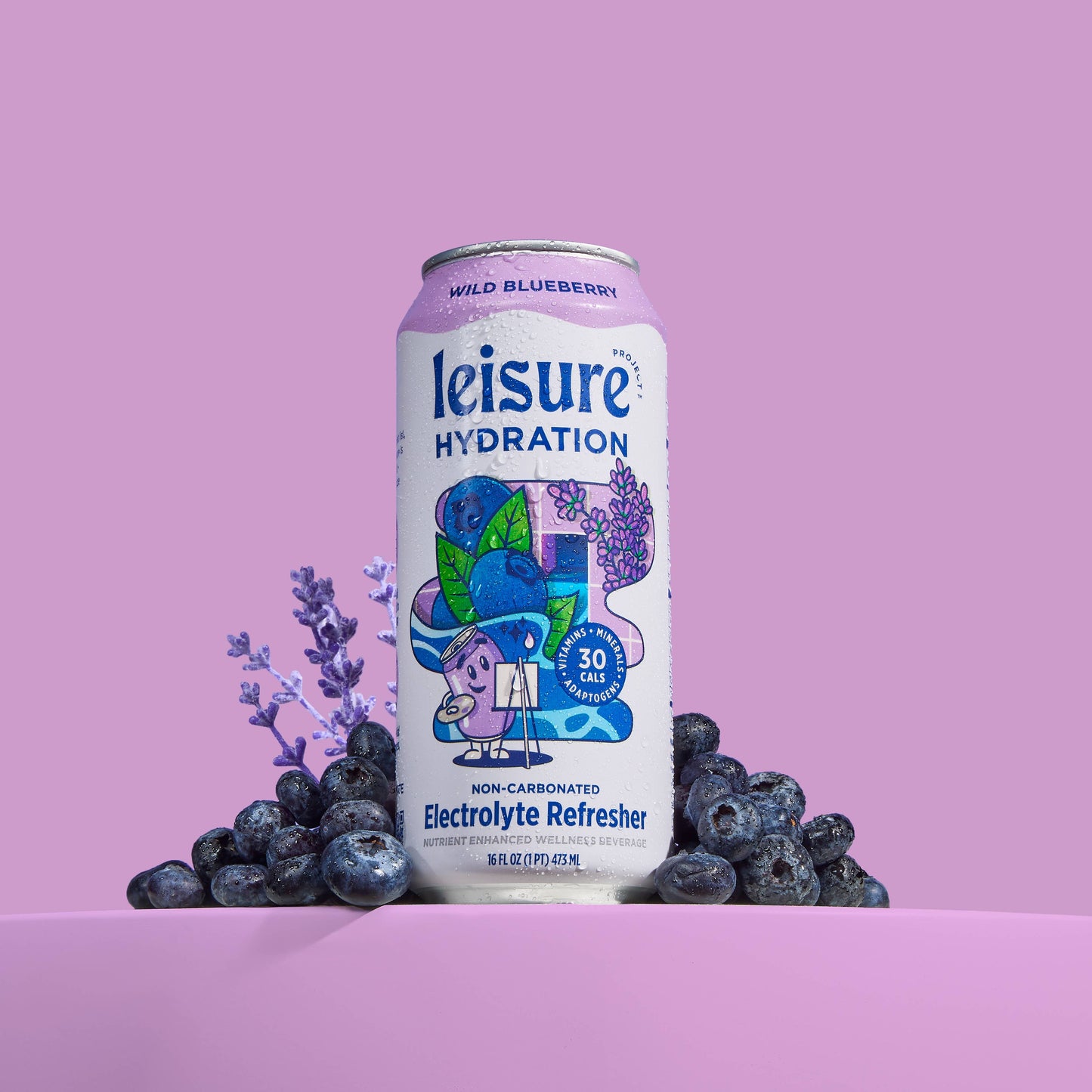 Leisure Hydration Electrolyte Wild Blueberry