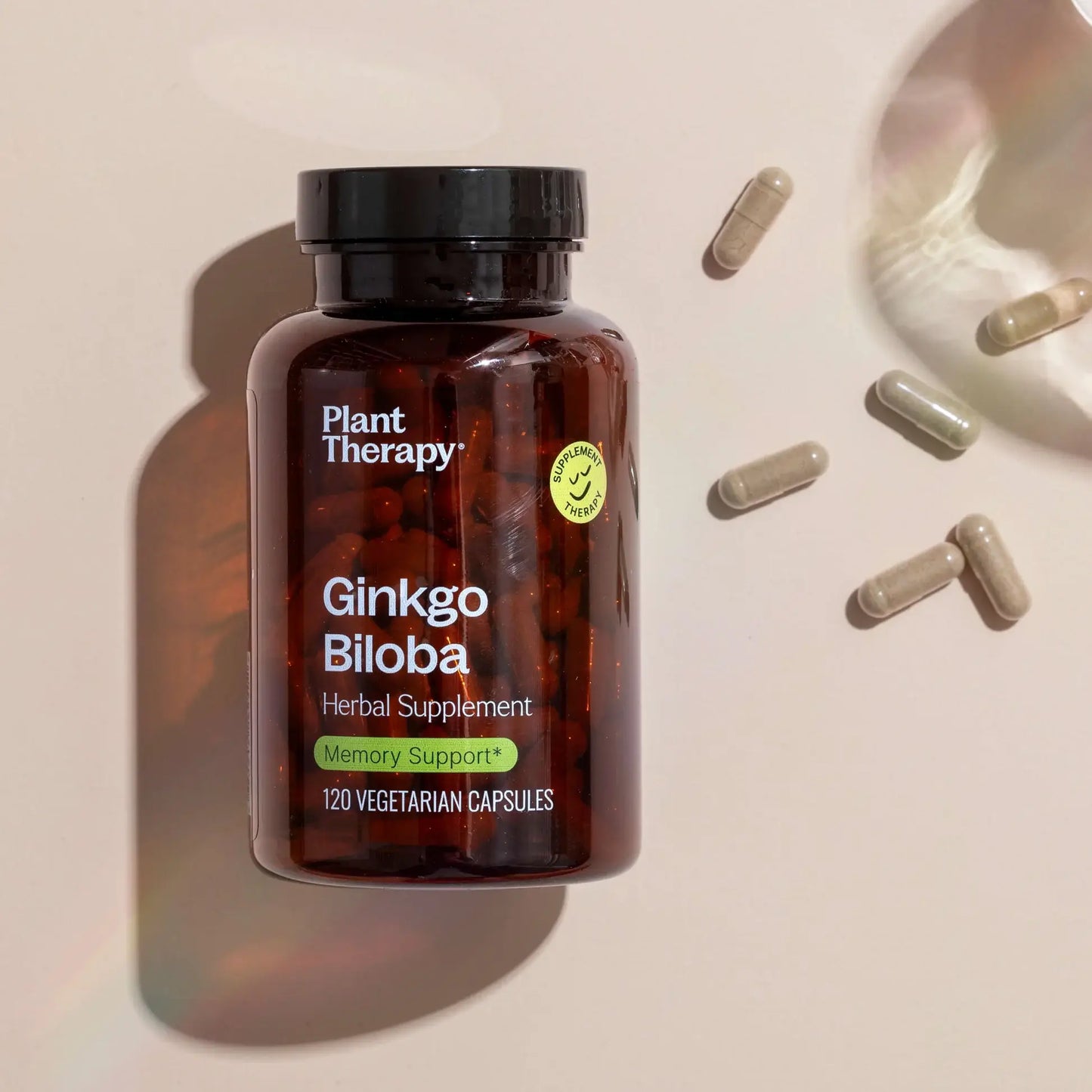 Ginkgo Biloba Herbal Supplement Capsule-120 Capsules