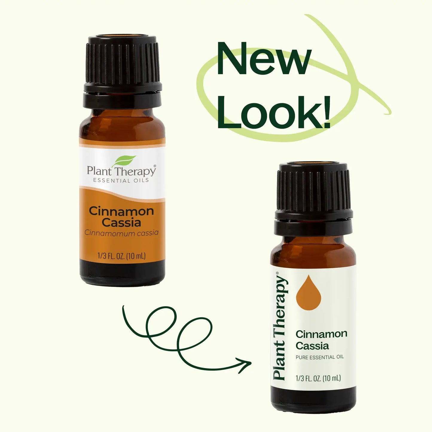 Cinnamon Cassia Essential Oil 10 mL