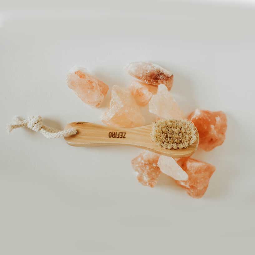 Dry/wet Face Brush