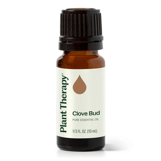 Clove Bud Essential Oil 10 mL