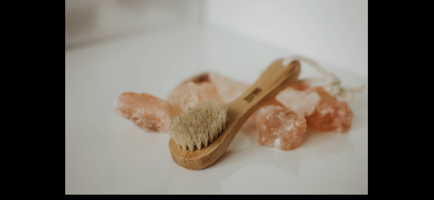 Dry/wet Face Brush