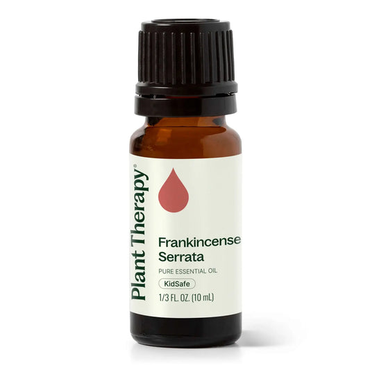 Frankincense Serrata Essential Oil 10 mL