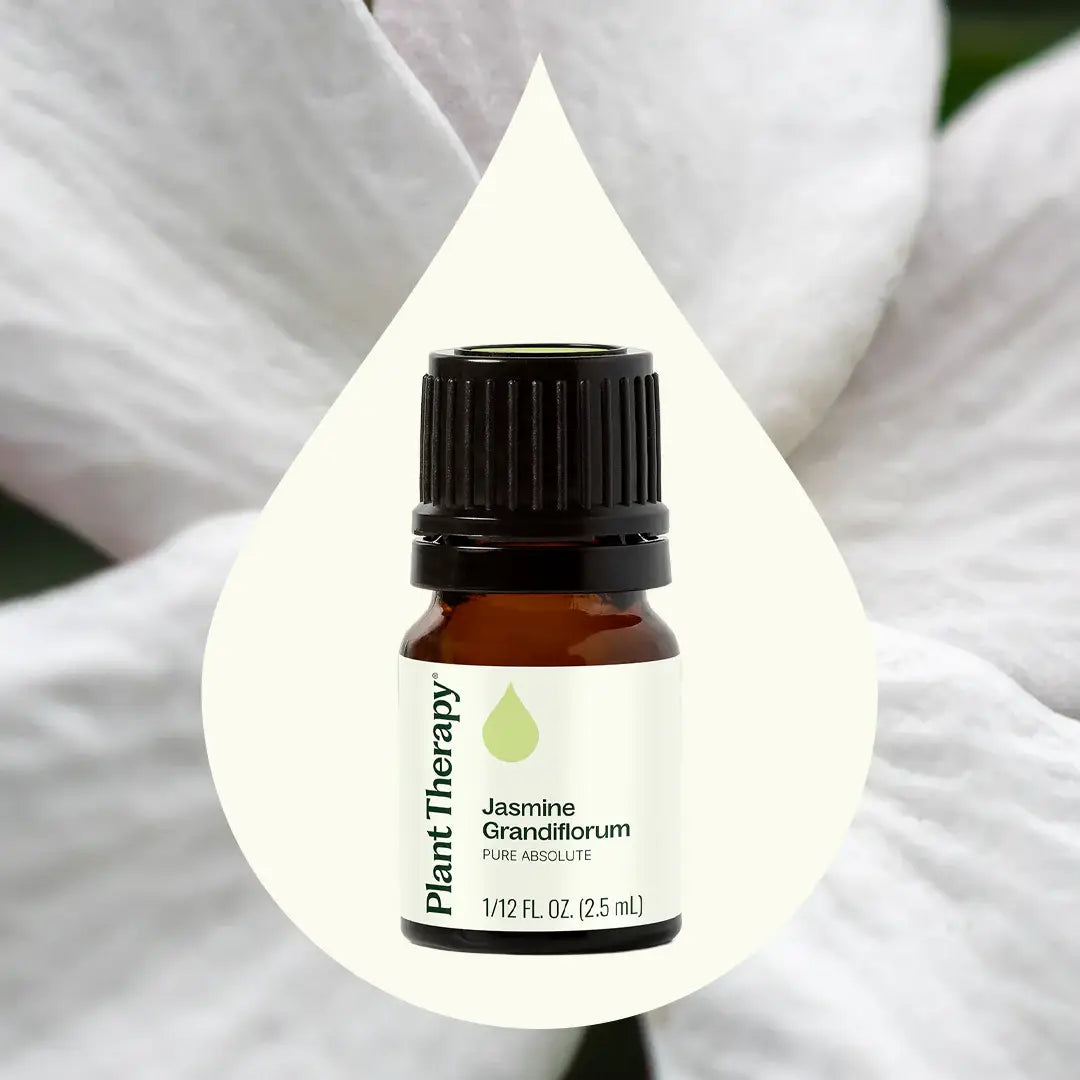 Jasmine Grandiflorum Absolute 2.5 mL
