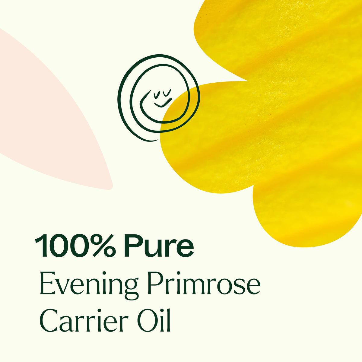 Evening Primrose Carrier Oil 4 oz