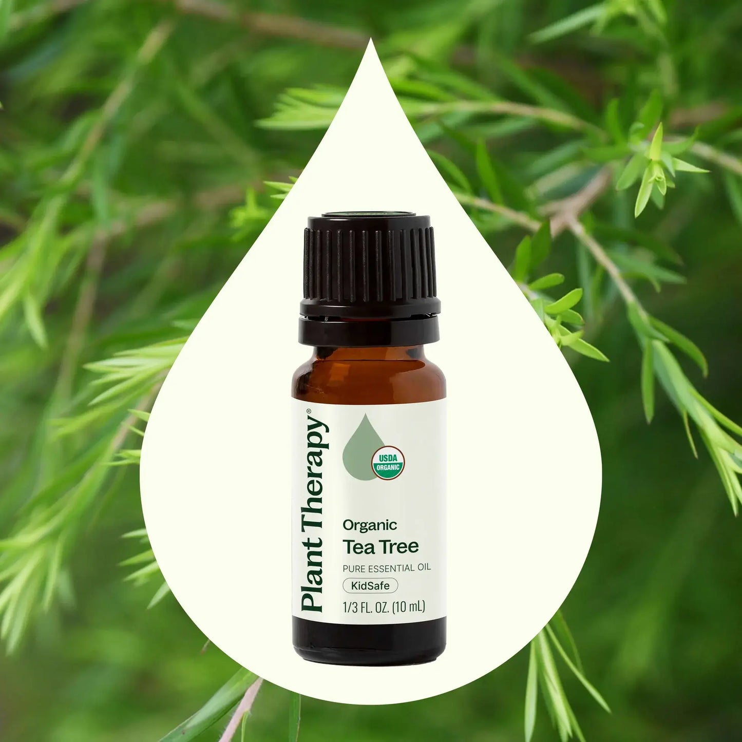 Organic Tea Tree Essential Oil 10 mL