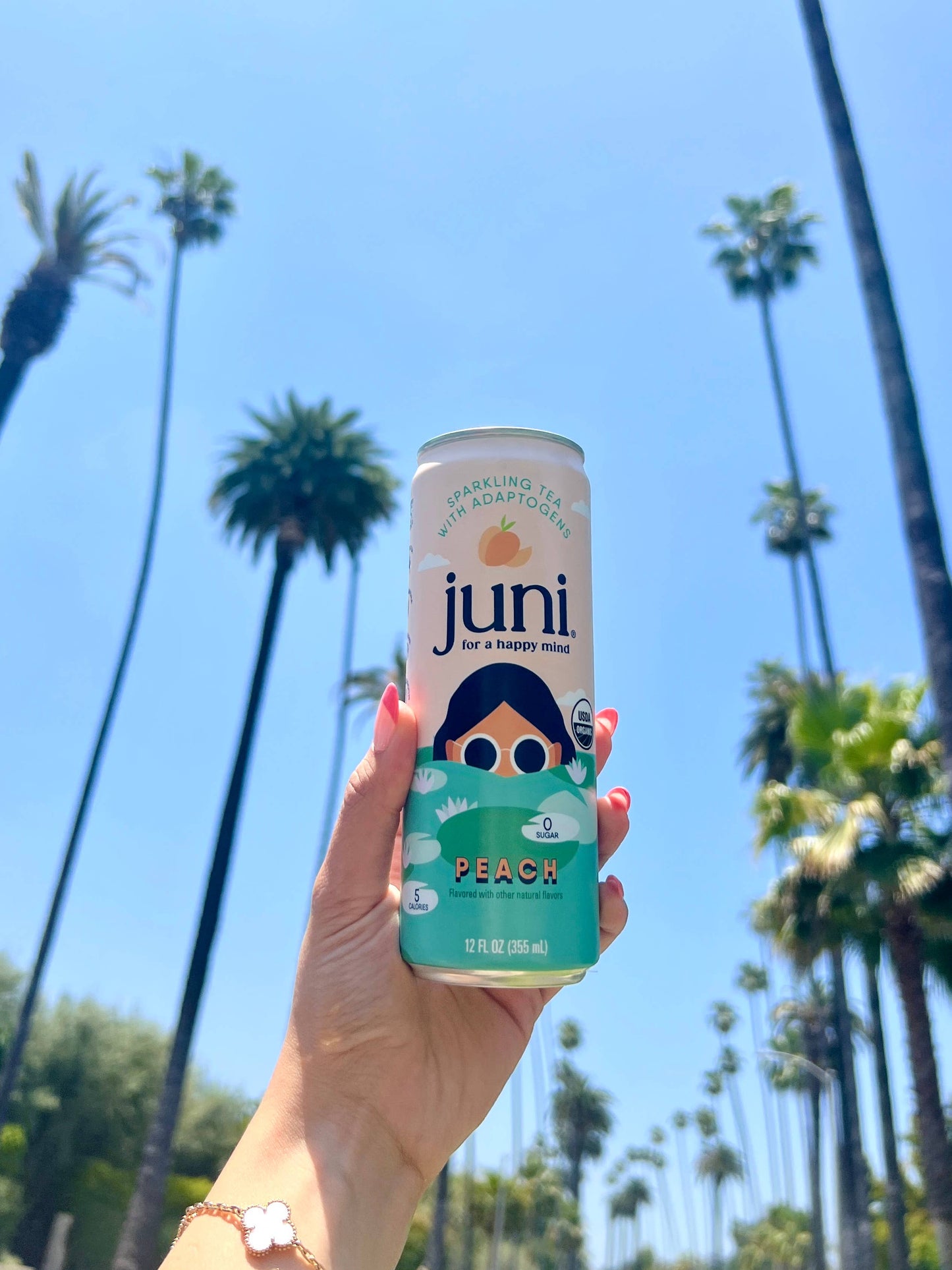 Juni Sparkling Adaptogenic Tea - Peach: