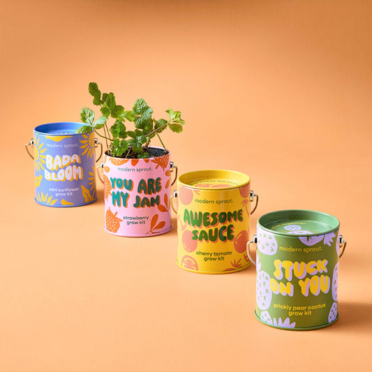 Complimentary Color Grow Kits: Stuck on You