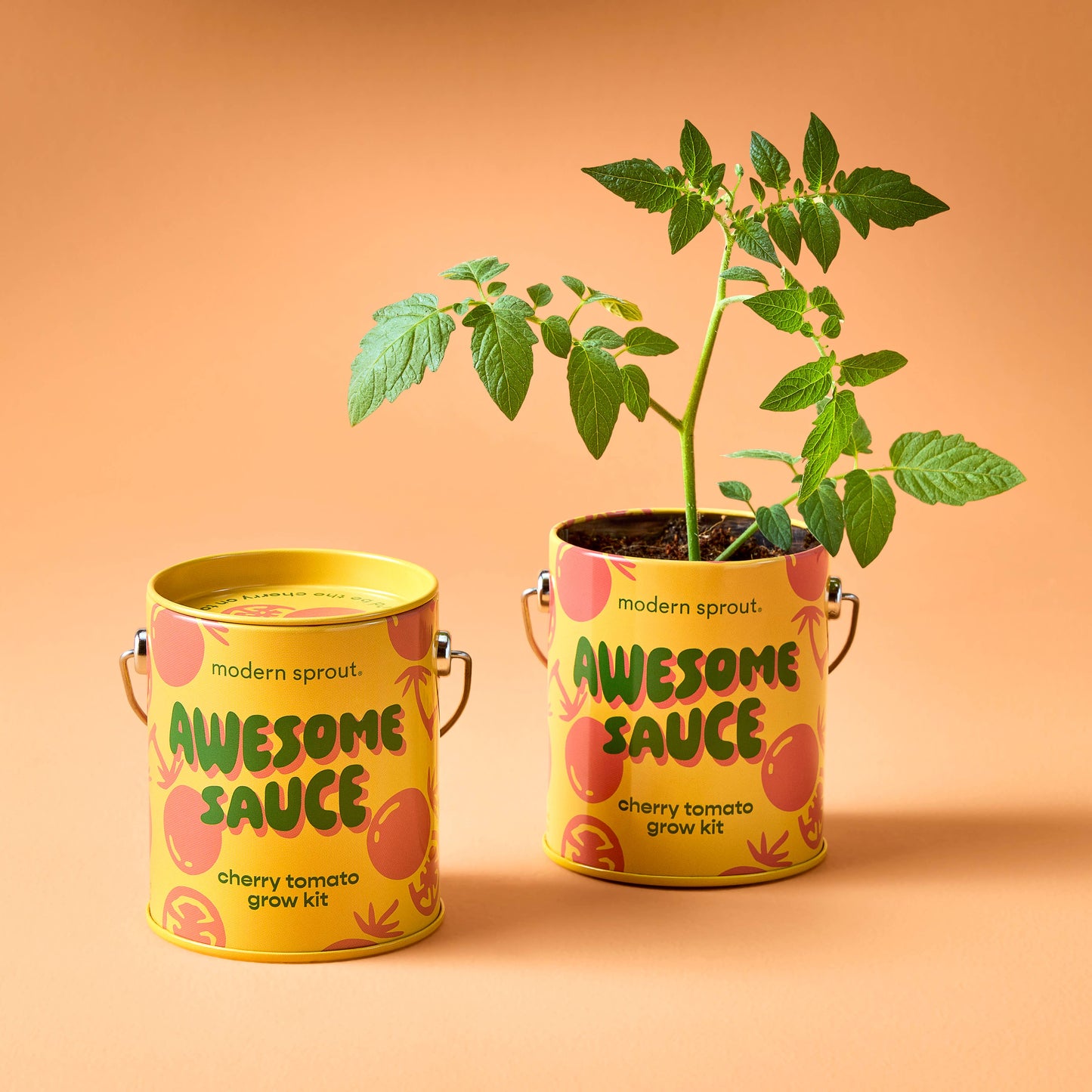 Complimentary Color Grow Kits: Stuck on You