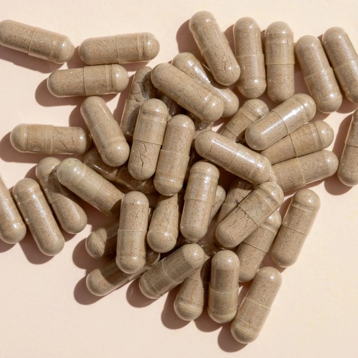 Ginkgo Biloba Herbal Supplement Capsule-120 Capsules