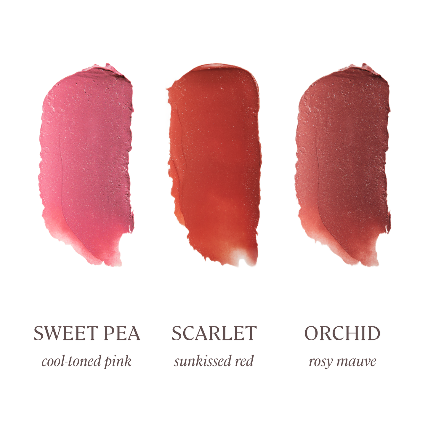 Blush Mini Bar - Travel Size Gift Set