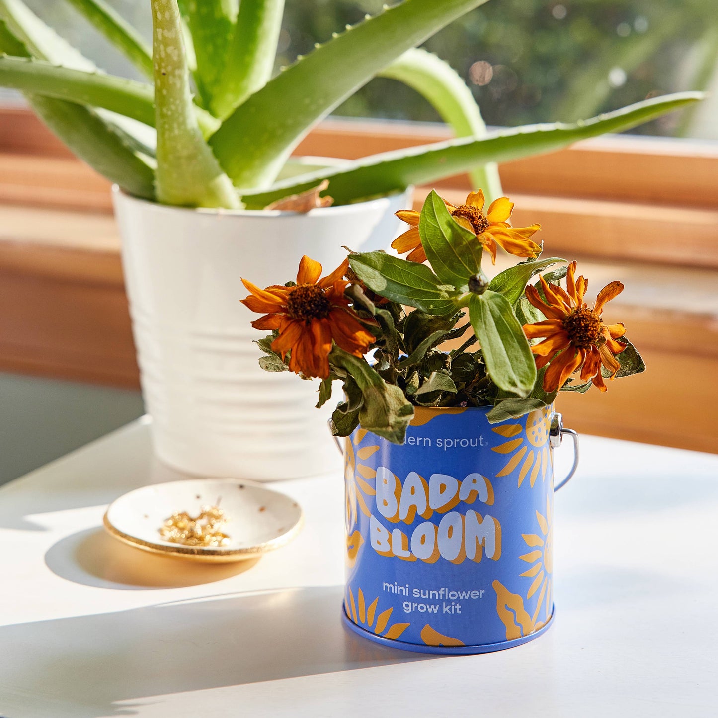 Complimentary Color Grow Kits: Stuck on You