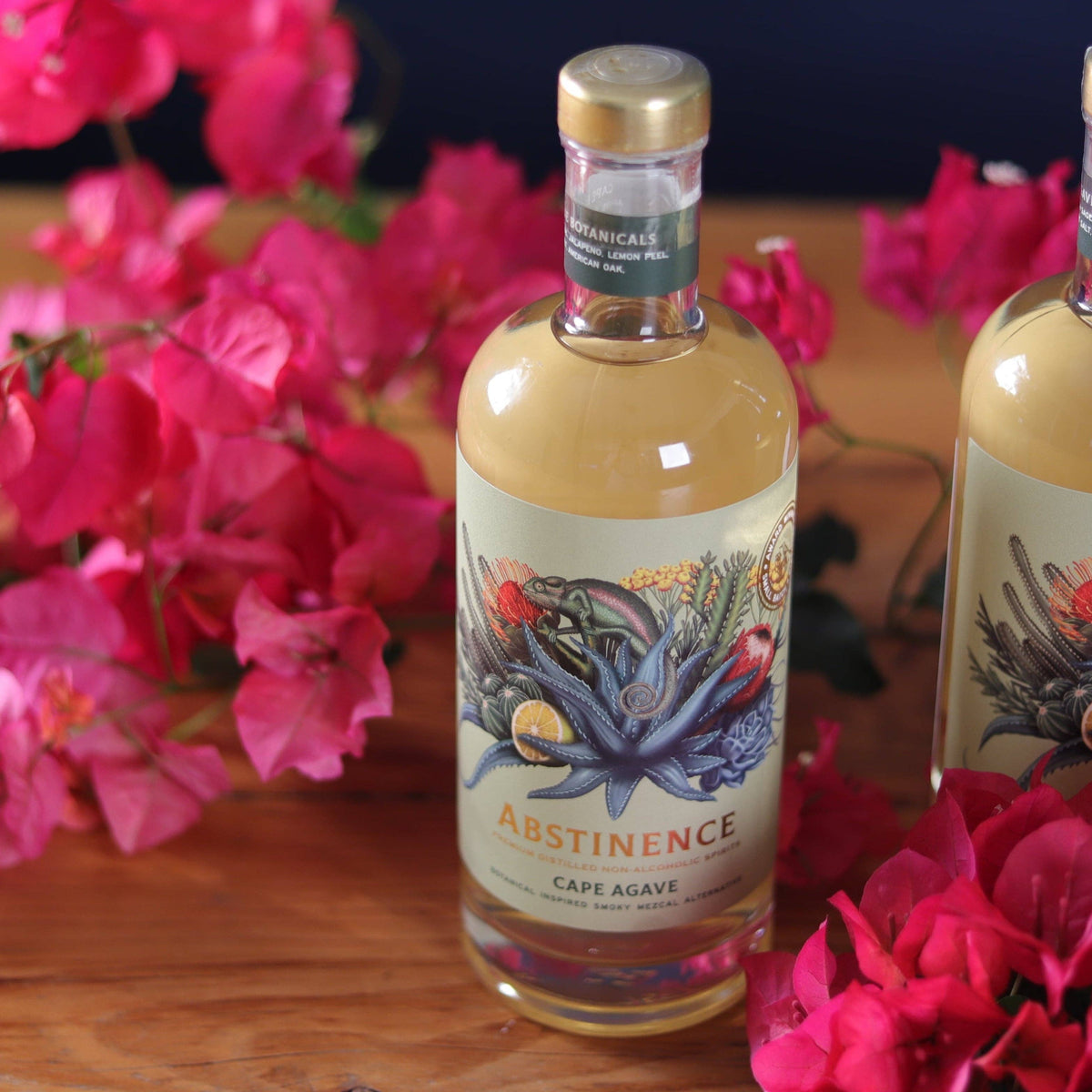 Abstinence Cape Agave