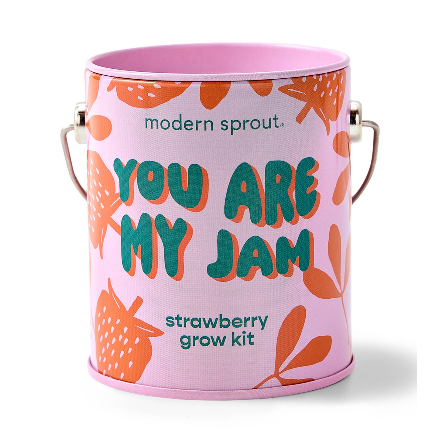 Complimentary Color Grow Kits: You are My Jam