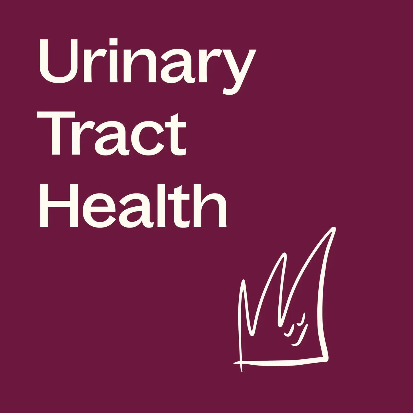 Cranberry Extract with Vitamin C Herbal 120 Capsules