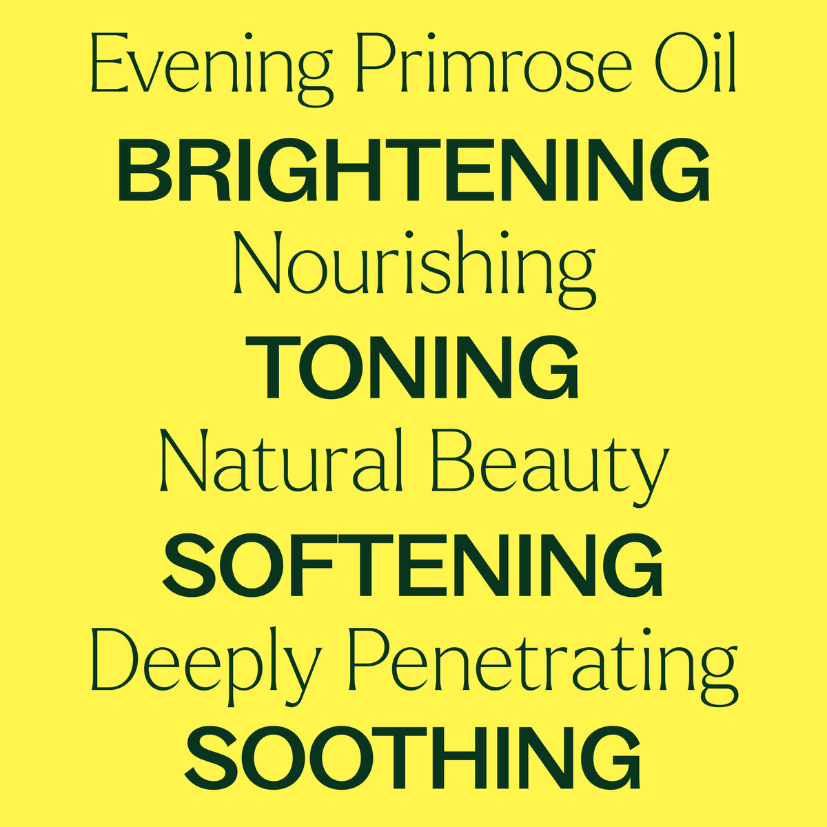 Evening Primrose Carrier Oil 4 oz