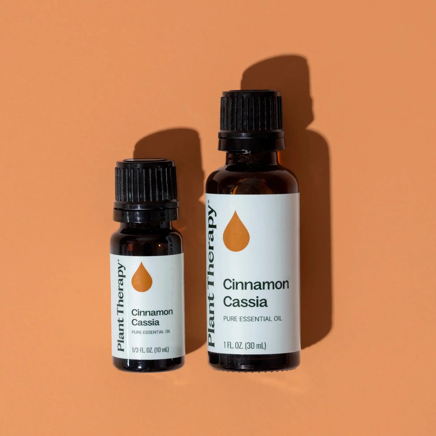 Cinnamon Cassia Essential Oil 10 mL