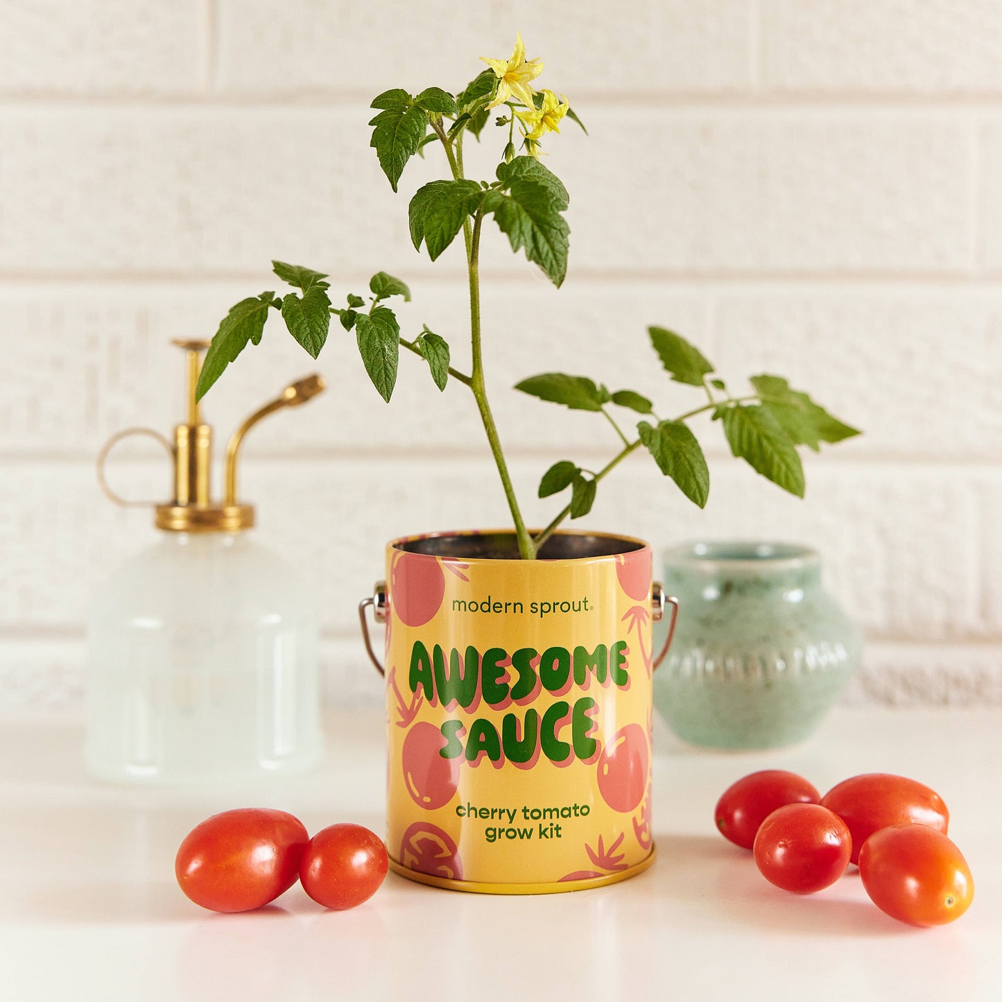 Complimentary Color Grow Kits: Stuck on You