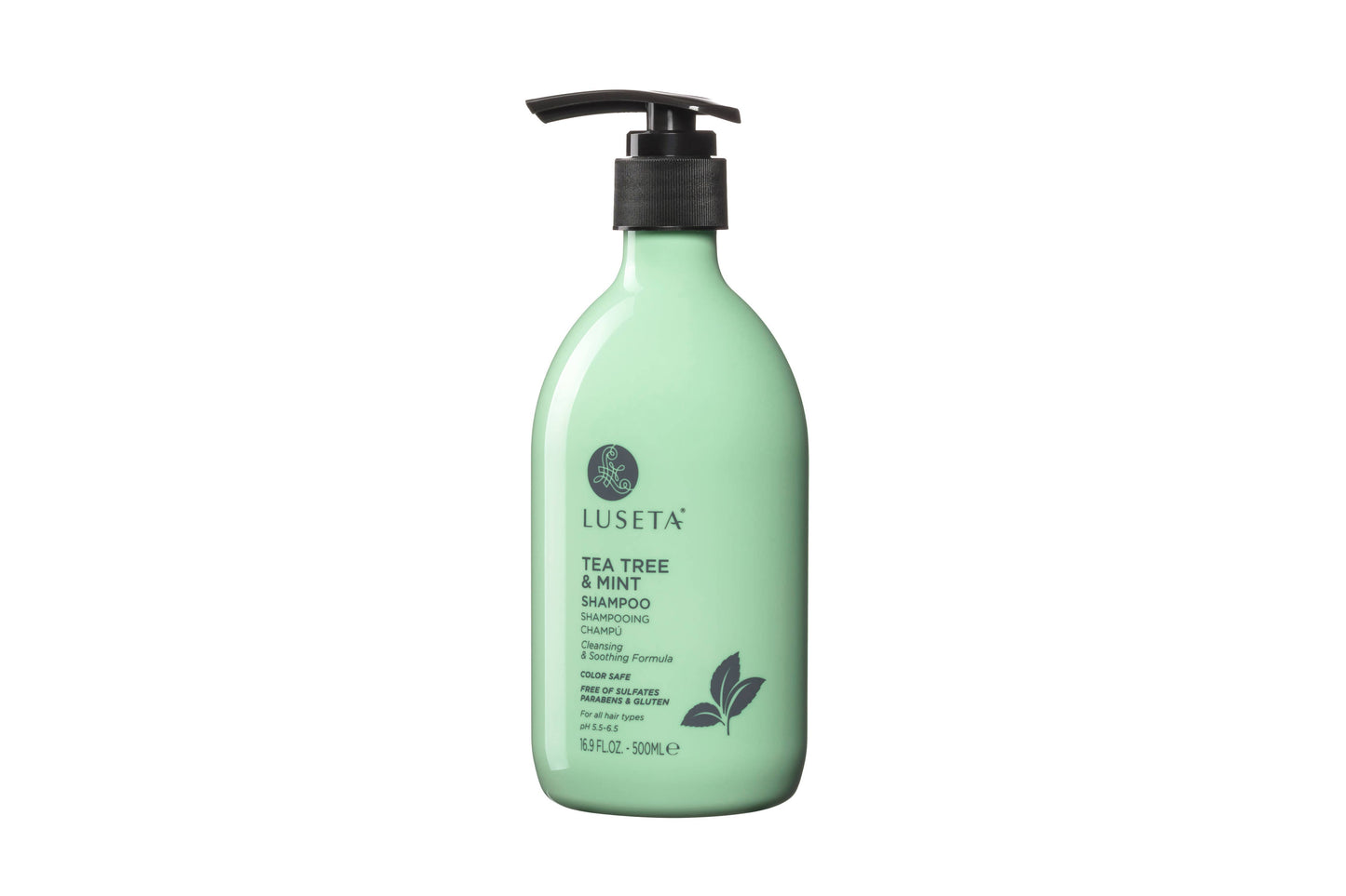 Tea Tree & Mint Shampoo - 16.9oz
