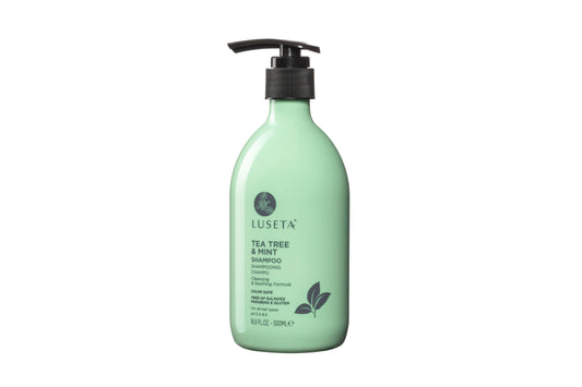 Tea Tree & Mint Shampoo - 16.9oz