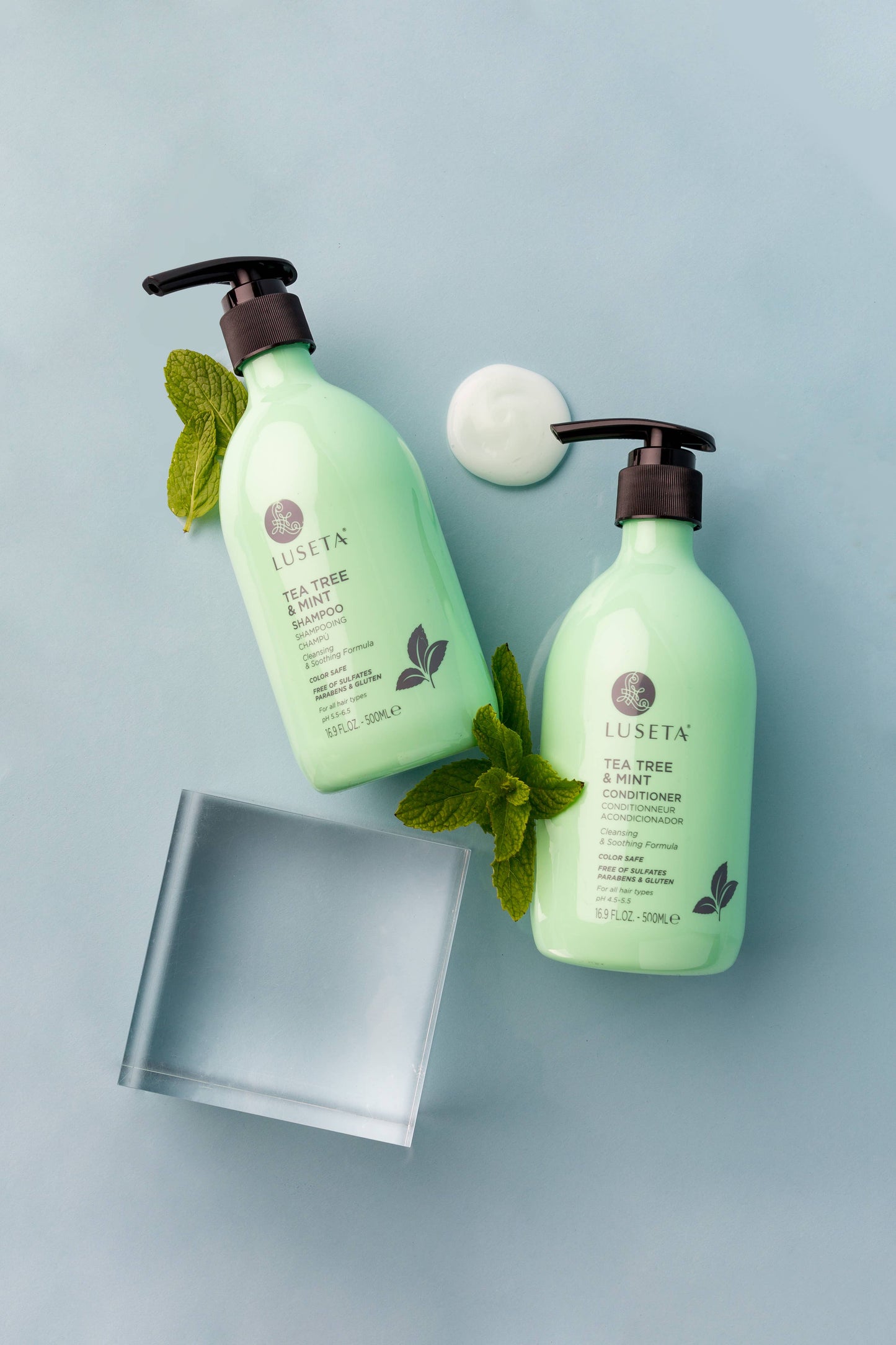 Tea Tree & Mint Shampoo - 16.9oz