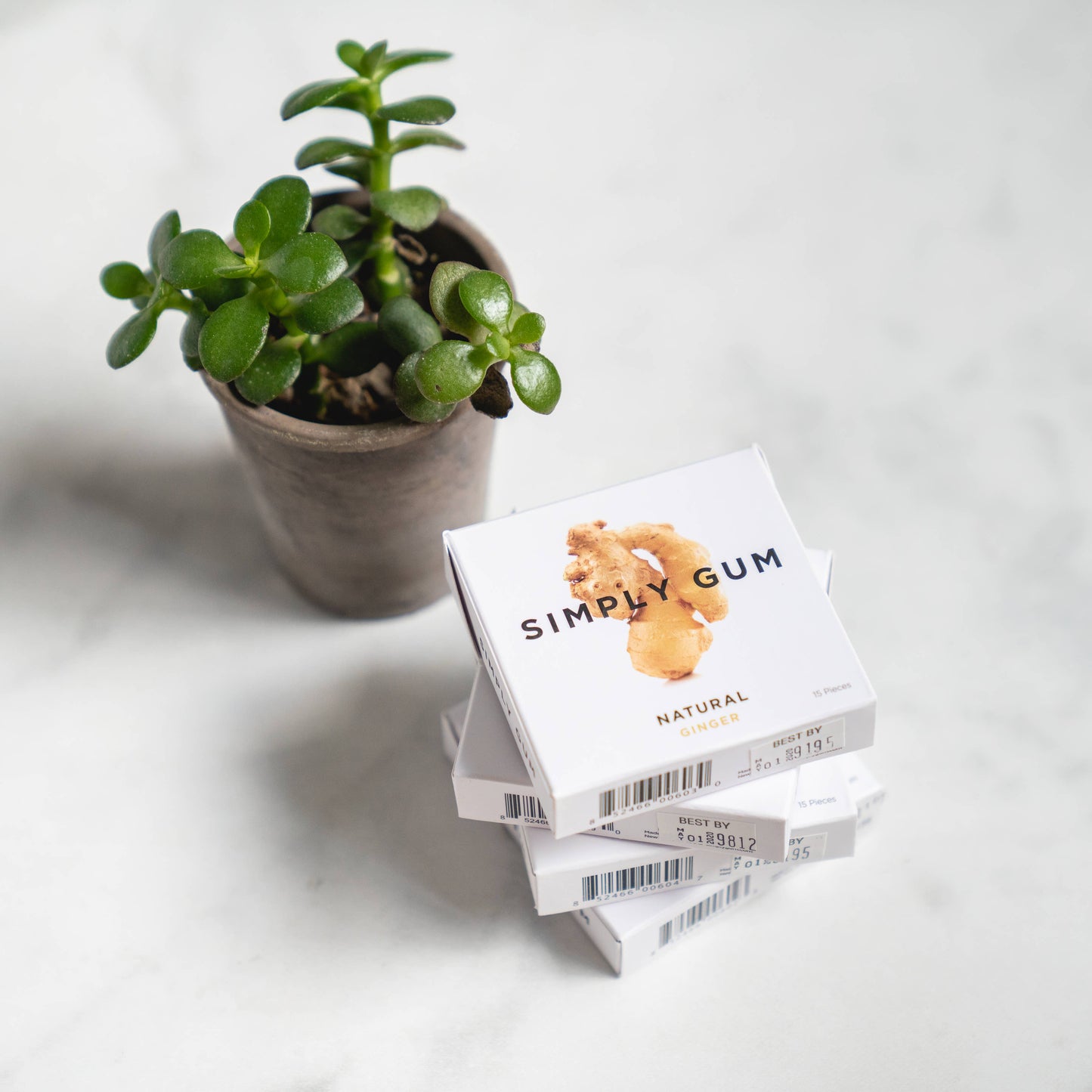 Ginger Chewing Gum - Natural + Plastic-Free | 12 Pack