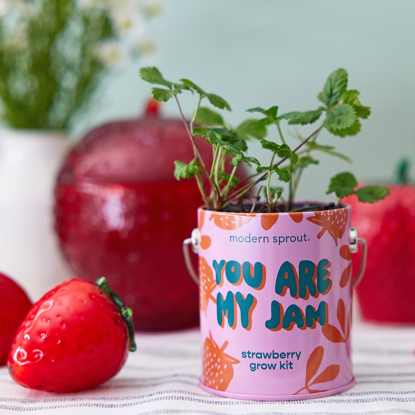 Complimentary Color Grow Kits: Stuck on You