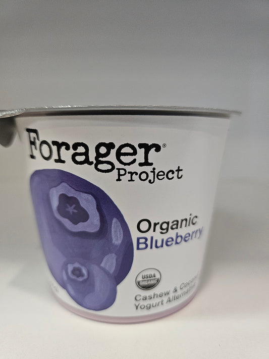 FORAGER PROJECT Blueberry Cashew Yogurt