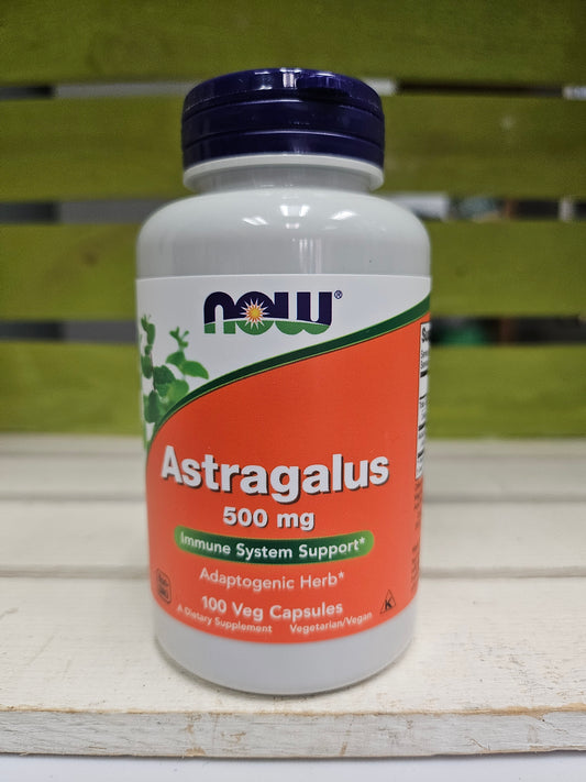 Astragalus